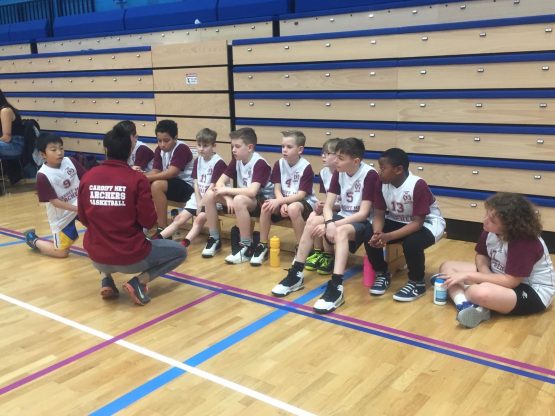 {{brizy_dc_image_alt entityId=